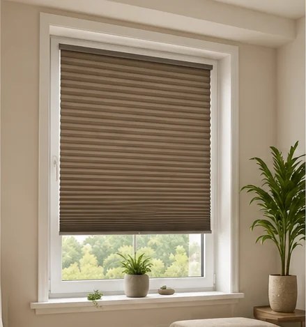 Plisee standard